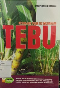 Petunjuk Praktis Menanam Tebu