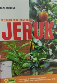 Petunjuk Praktis Menanam Jeruk