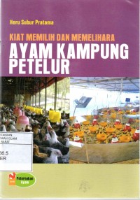 Kiat Memilih dan Memelihara: Ayam Kampung Petelur